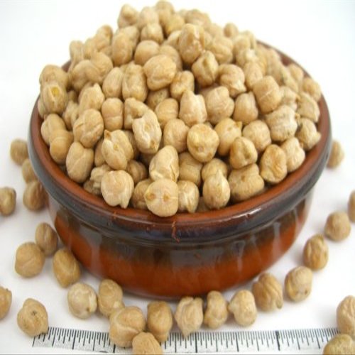 Italian Tuscan Chickpeas 2.2 lb