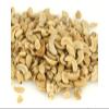 Bulk Nuts Cashew, Pieces, Raw, 25-pounds (Pack of 1) view 1