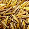 1 LB MN WILD RICE AMERICAN INDIAN HAND HARVESTED & WOOD PARCHED ALL NATURAL! view 1