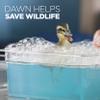 Dawn Ultra Dishwashing Liquid Dish Soap, Original Scent, 56 oz (Pack of 8) view 3