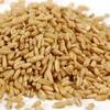 BULK GRAINS Oat Groat Whole, 50 Pound view 1