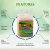 1500mg Liquid Glucosamine & Chondroitin - High Concentration Fast-Absorbing Formula Orange Flavor Helps Support Joint & Cartilage Health - with White Willow Bark, Manganese & Boswellin (32 Day Supply) view 4