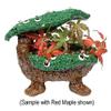 Eve's Bonsai Babyland Miniature Azalea Seed Kit, Complete Kit to Grow Azalea Bonsai Trees from Seed, Unique and Exclusive Bonsai Babyland Planter view 3