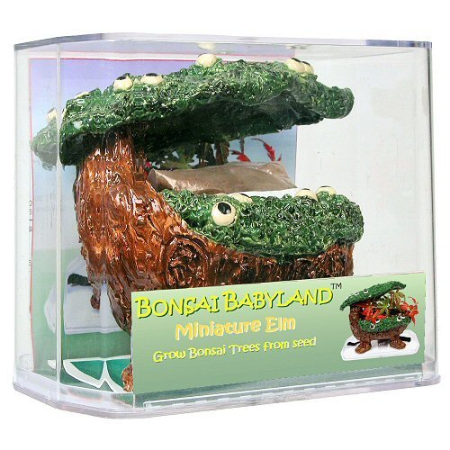 Eve's Bonsai Babyland Miniature Elm Seed Kit, Complete Kit to Grow Elm Bonsai Trees from Seed, Unique and Exclusive Bonsai Babyland Planter