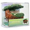 Eve's Bonsai Babyland Miniature Elm Seed Kit, Complete Kit to Grow Elm Bonsai Trees from Seed, Unique and Exclusive Bonsai Babyland Planter view 1