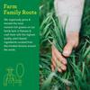 Amazing Grass Greens Trio: Greens Powder with Wheatgrass, Alfalfa, & Barley Grass, Rich Source of Chlorophyll, 30 Servings view 2