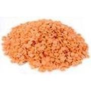 Bulk Peas and Beans Organic Red Split Lentils - Single Bulk Item - 25LB