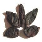 Black Kokum