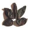 Black Kokum view 1