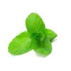 Fresh Herb Tops - Peppermint - 4 Count of 3 oz Each, 12 oz Total, Deep Green Leaves with Purple Stems, Strong and Refreshing Peppermint Flavor, Perfect for Desserts and Meats view 2