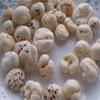 Phool Mahkana / Puffed Lotus Seed - 14oz view 1