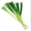 500 Chinese Leek (Oriental Garlic/Garlic Chives/Chinese Chives/Flat Chives) Allium Tuberosum Vegetable Seeds view 1
