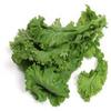 3000 Southern Giant Curled Mustard (Ostrich Plume) Brassica Juncea Vegetable Seeds view 3