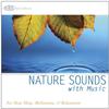 Nature Sounds with Music (Deep Sleep Music, Relaxation, Music for Healing, Music with Nature) view 1