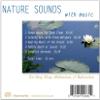 Nature Sounds with Music (Deep Sleep Music, Relaxation, Music for Healing, Music with Nature) view 3