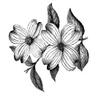 Dogwood Flower Motif Note Cards - Stationery or Imprintables - Set of 10 and 10 Envelopes view 2
