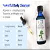 Optimally Organic Red Pine Needle Oil 2oz - Daily Drops for Extreme Immune Support - BioActive Cell & DNA Support - 1290 Drops - 3 to 7 Drops Per Dose -Vegan Body Cleanse - Longevity Oil view 3