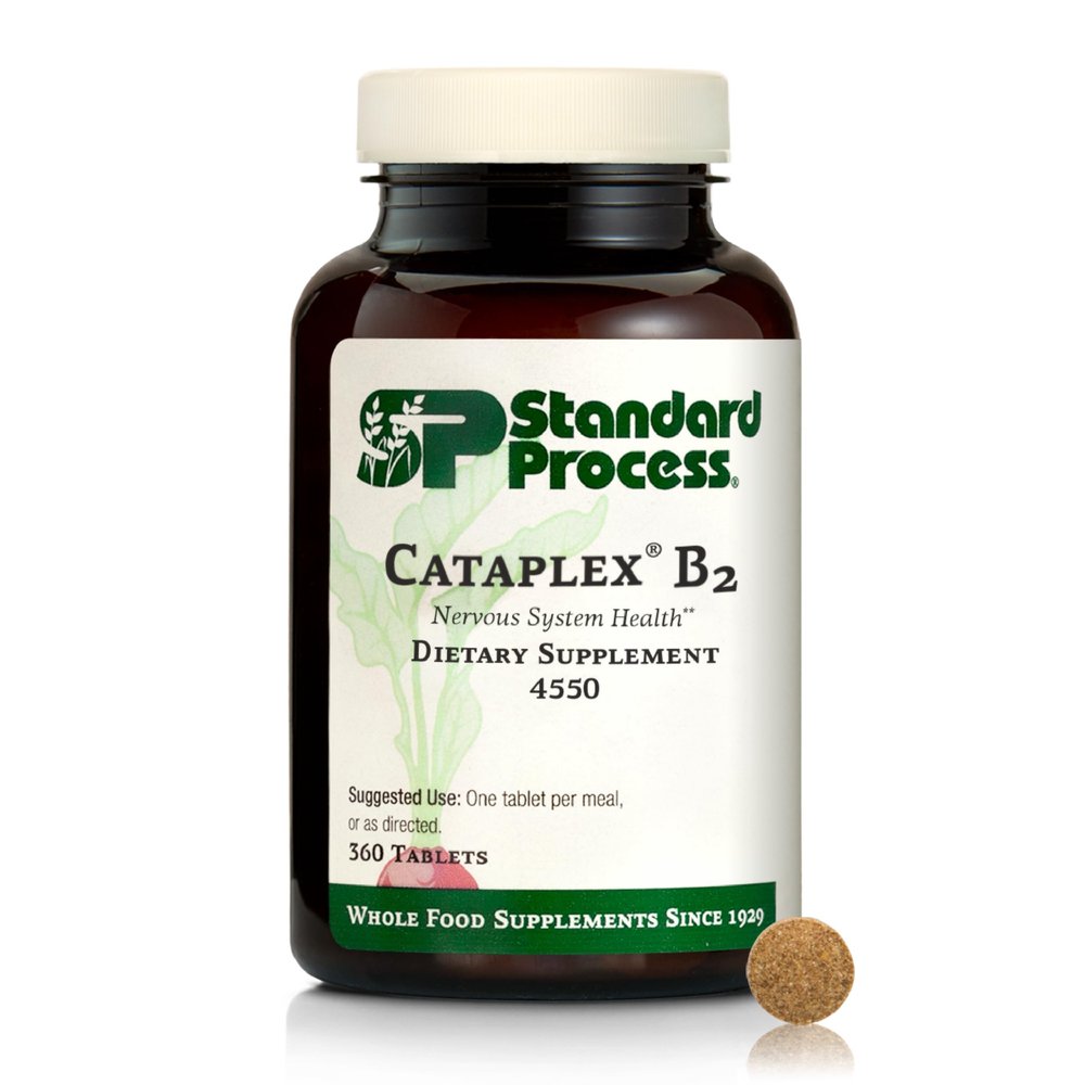Standard Process Cataplex B2 Nervous System Health Dietary Supplement - Non-Dairy & Non-Soy - Brain Health Support - 360 Tablets