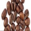 Organic Fair Trade Espresso 1LB - Whole Bean view 1