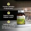 Banyan Botanicals Organic Kanchanar Guggulu  Natural Lymphatic Drainage & Detox Supplement  Systemic Cleanser for Glandular Health & Fluid Balance  with Guggulu Resin 90 Tablets  USDA Organic FFL view 2