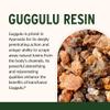 Banyan Botanicals Organic Kanchanar Guggulu  Natural Lymphatic Drainage & Detox Supplement  Systemic Cleanser for Glandular Health & Fluid Balance  with Guggulu Resin 90 Tablets  USDA Organic FFL view 3