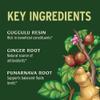 Banyan Botanicals Organic Punarnavadi Guggulu Tablets  Organic Joint Supplement  Supports Healthy Function of The Kidneys and Urinary System*  90 Tablets  Non-GMO Sustainably Sourced Vegan* view 2