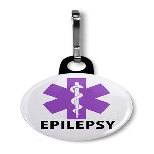 EPILEPSY Awareness Purple Medical Alert 1 inch Zipper Pull Charm