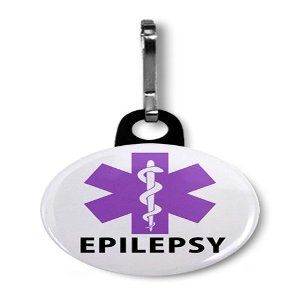 EPILEPSY Awareness Purple Medical Alert 1 inch Zipper Pull Charm