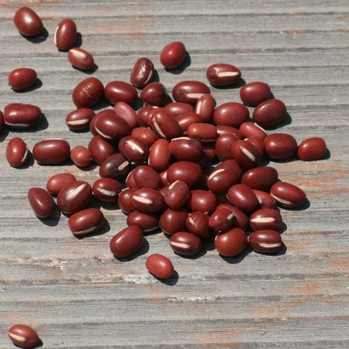Adzuki Beans (12 ounce)