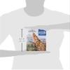 Andean Dream, Macaroni Quinoa, 8 Ounce view 3