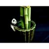 Betterdecor- 1set (6 Pieces) of Lucky Bamboo Arrangement in a Ceramic Panda Vase. view 2