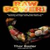 Raw Power! Protein Superfood Blend (16 oz, Chocolate Flavor) view 2