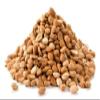 Apricot Kernels (Seeds) 2lb / 32oz Bag (Resealable) Raw and Bitter view 3
