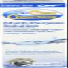 Cruelty-Free Multi-Purpose Contact Lenses Solution - Travel Size Contact Lens Solution, Mild Contact Solution for Contact Lenses, Cleans & Conditions Eye Contacts by Clear Conscience, 3 Fl oz view 1