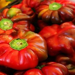 100 Pimento Pepper (Red Sweet Pimientio/Italianelle/Cheese, Roasting, Frying Pepper) Capiscum Annuum