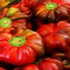 100 Pimento Pepper (Red Sweet Pimientio/Italianelle/Cheese, Roasting, Frying Pepper) Capiscum Annuum view 1