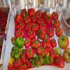 100 Pimento Pepper (Red Sweet Pimientio/Italianelle/Cheese, Roasting, Frying Pepper) Capiscum Annuum view 2