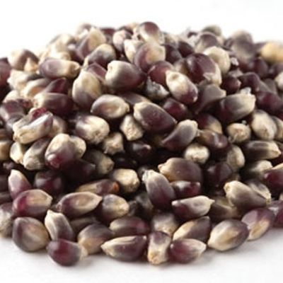 Blue Popcorn, 1 3/4 Lb Pack, Yankee Traders Brand