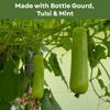 Basic Ayurveda Lauki (Bottle Gourd) Juice with Holy Basil & Mint Leaves | 16.23 Fl Oz (480ml) | Supports Digestion & Hair Health | Herbal Detox & Daily Ayurvedic Wellness Drink | No Added Sugar view 2