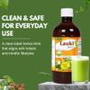 Basic Ayurveda Lauki (Bottle Gourd) Juice with Holy Basil & Mint Leaves | 16.23 Fl Oz (480ml) | Supports Digestion & Hair Health | Herbal Detox & Daily Ayurvedic Wellness Drink | No Added Sugar view 4