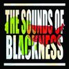 Sounds of Blackness view 1
