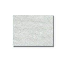 Airsep Lifestyle Felt Filter, each