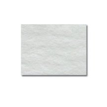 Airsep Lifestyle Felt Filter, each