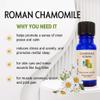 Chamomile Roman In Jojoba view 4