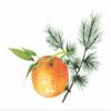 Cedarwood & Mandarin Bath Oil - 4 oz - 100% Pure view 3