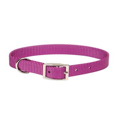 901 18 Ord 1" Nylon Web Col Orchid