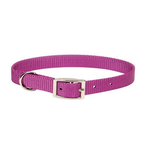 901 18 Ord 1" Nylon Web Col Orchid