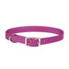 901 18 Ord 1" Nylon Web Col Orchid view 1