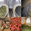 4-Cans "Nuri" Potuguese Sardines in Pure Olive Oil 125g ea (500g total) view 4