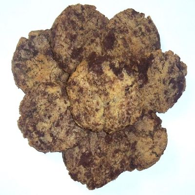 Scott's Cakes Chocolate Peanut Butter Brownie Chunk Cookies in a 1 Pound Bunny Hop Bag